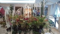 160910_1000~010001.jpg