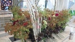 160910_1005~010001.jpg