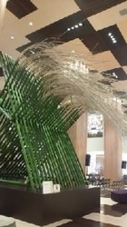 160910_1012~010001.jpg