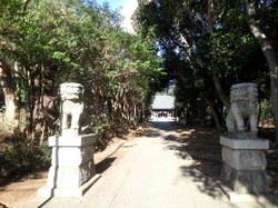 CA3K18120001.jpg
