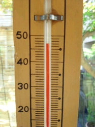 CA3K20240001.jpg